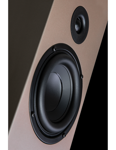 detail speaker